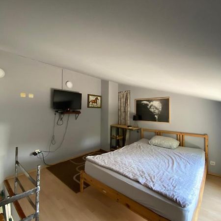 Apartment Escape Novi Sad Bagian luar foto
