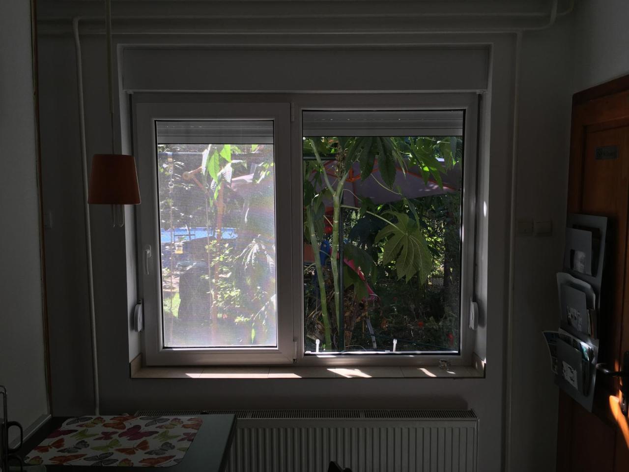 Apartment Escape Novi Sad Bagian luar foto