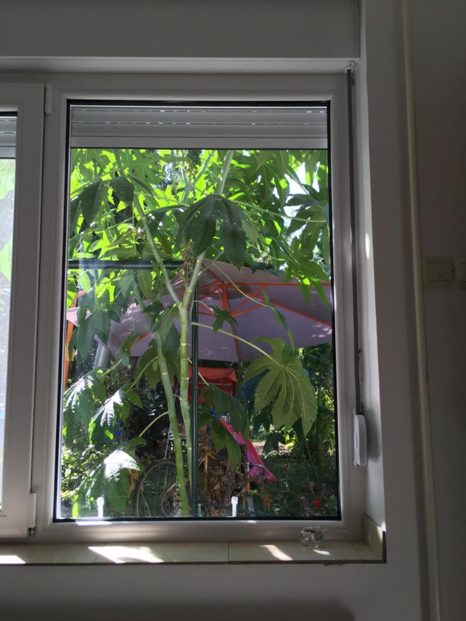 Apartment Escape Novi Sad Bagian luar foto